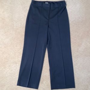 NWOT Express Cropped Straight High Rise. Navy. Size 8R